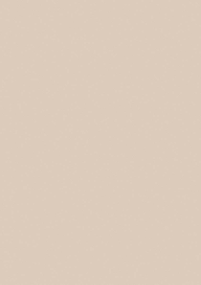 0156 Zandbeige