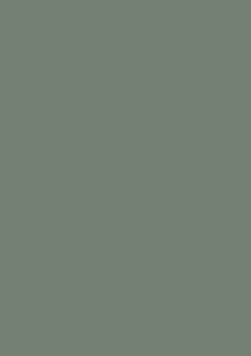 0604 Eucalyptus groen